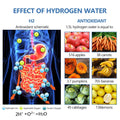 Hydrogen Water Bottle - Ultimate Hydration and Wellness Solution