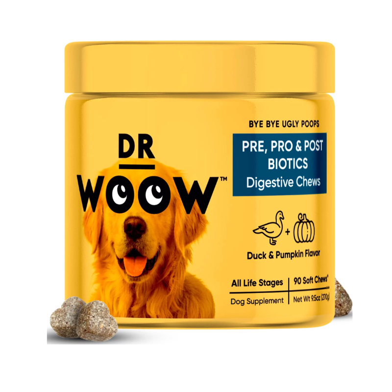 Pre, Pro & Post Biotics Digestive Chews - Divine Delusions 