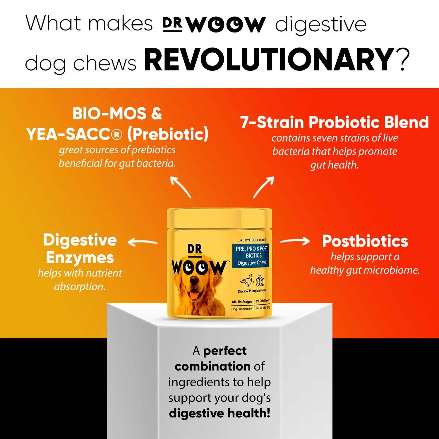 Pre, Pro & Post Biotics Digestive Chews